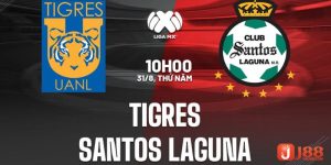 Soi kèo Tigres UANL vs Santos Laguna 10h00 ngày 31/08/23