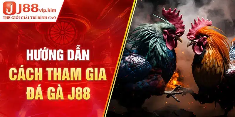 Hướng dẫn cách tham gia đá gà J88