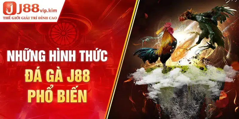 Những hình thức đá gà J88 phổ biến