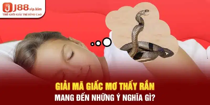 Giải mã giấc mơ thấy rắn mang đến những ý nghĩa gì? 