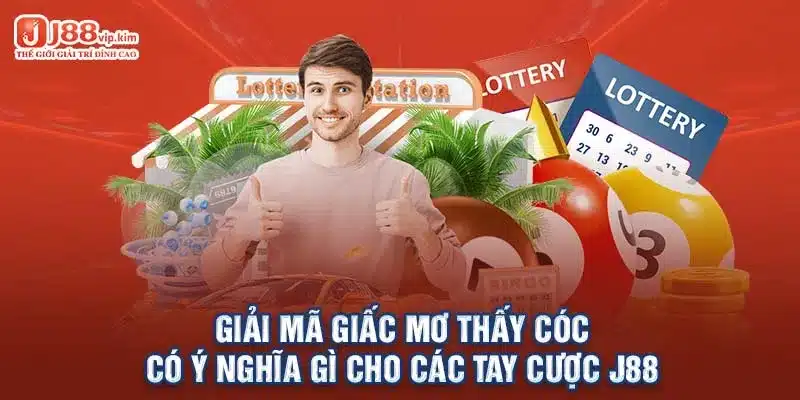 Giải mã giấc mơ thấy cóc có ý nghĩa gì cho các tay cược J88