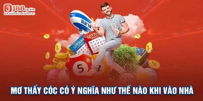 Mơ thấy cóc có ý nghĩa như thế nào khi vào nhà